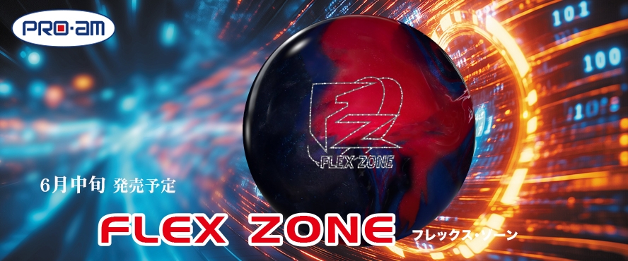 FLEX ZONE