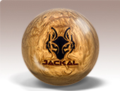 golden_jackal